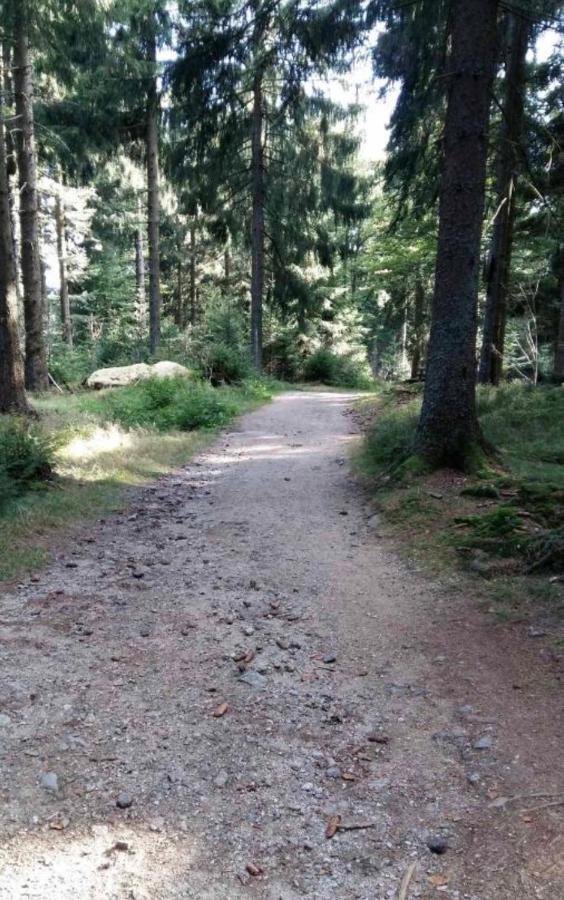Bergerlebnis Natur Pur Sankt Englmar Esterno foto